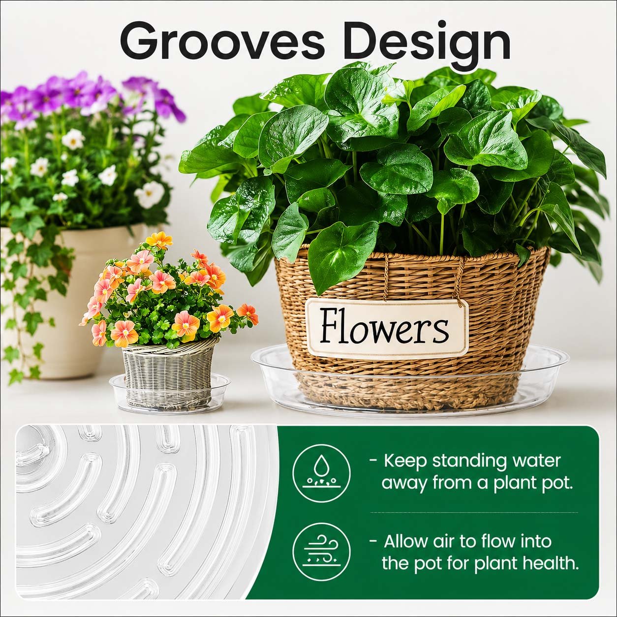 Verdsoeo 24 Pack 6 Inch Clear Plant Saucers, Durable Plastic Flower Pot Trays and Plant Drip Trays for Indoor and Outdoor Plants - Image 7