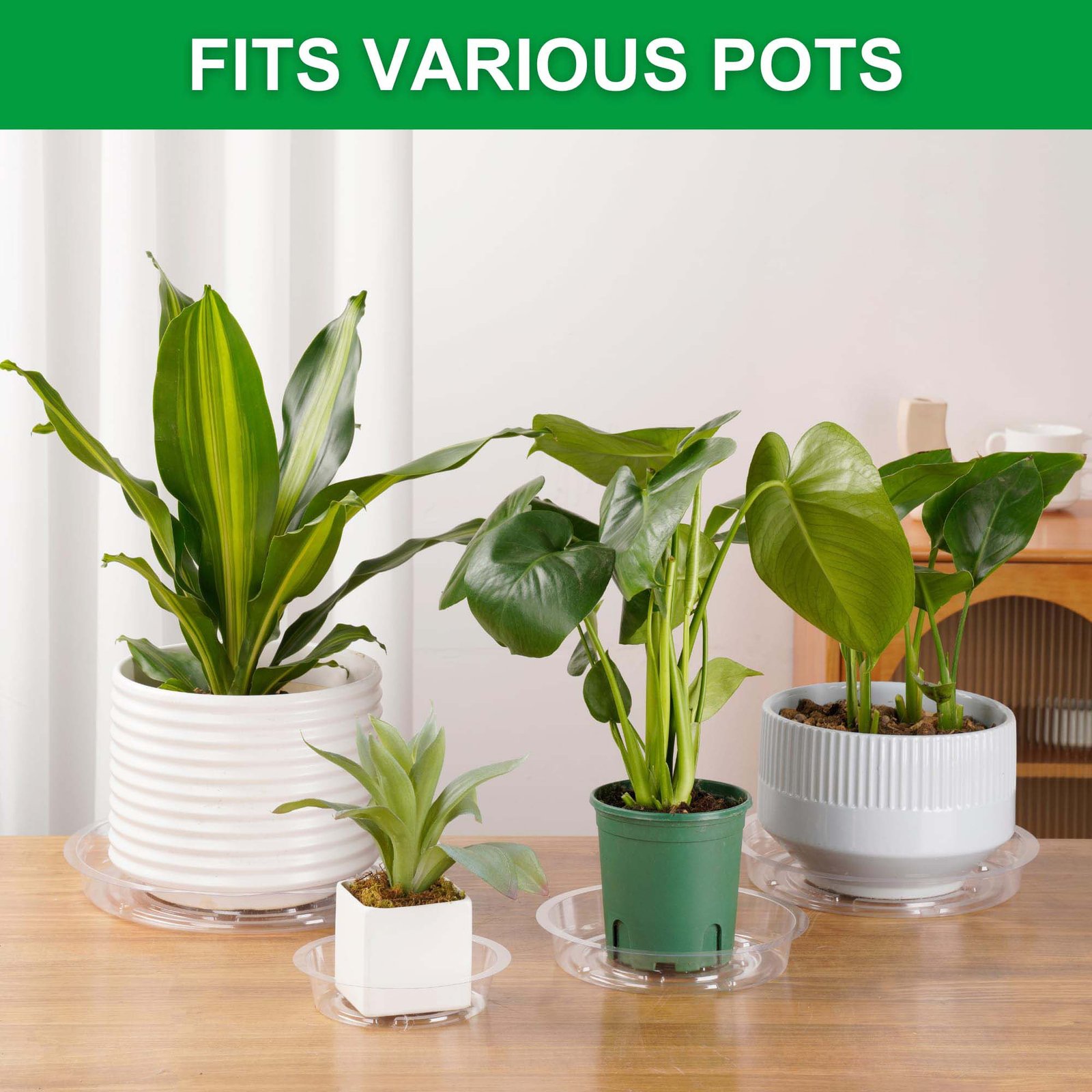 Verdsoeo 24 Pack 6 Inch Clear Plant Saucers, Durable Plastic Flower Pot Trays and Plant Drip Trays for Indoor and Outdoor Plants - Image 6