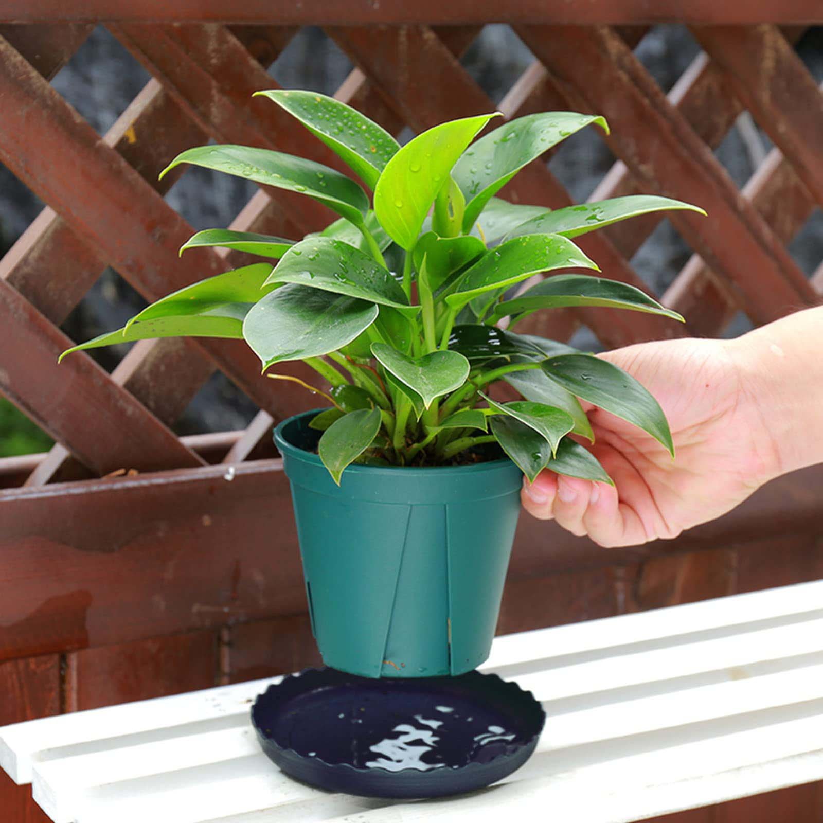 Verdsoeo 18 Pack Plant Saucers, 6 8 10 Inch Heavy Duty Flower Pot Trays, Plastic Plant Trays for Indoor Outdoor, Round Drip Trays for Plants Garden - Image 6