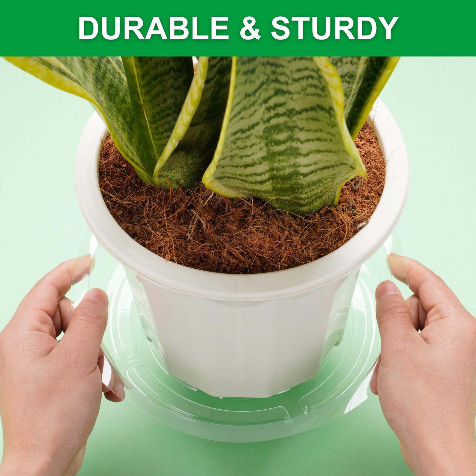 Verdsoeo 24 Pack 6 Inch Clear Plant Saucers, Durable Plastic Flower Pot Trays and Plant Drip Trays for Indoor and Outdoor Plants - Image 4