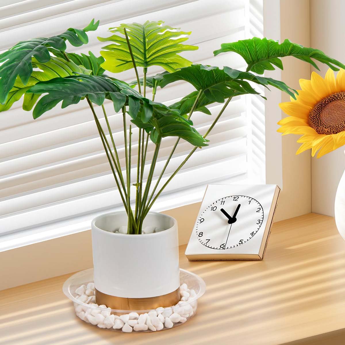 Verdsoeo 24 Pack 6 Inch Clear Plant Saucers, Durable Plastic Flower Pot Trays and Plant Drip Trays for Indoor and Outdoor Plants - Image 2
